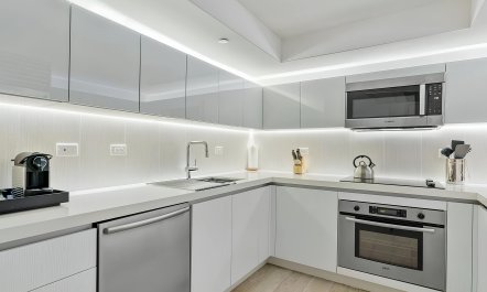 Maple & Miami Skyline 8