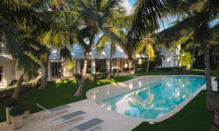 Palms Before Noon 3