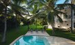 Palms Before Noon 2