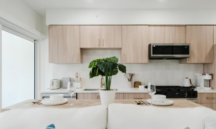 Intracoastal Palms 4
