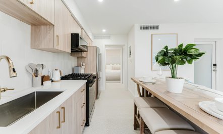 Intracoastal Palms 5