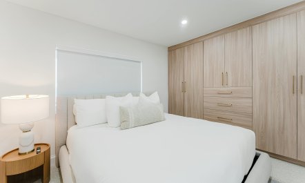 Intracoastal Palms 9