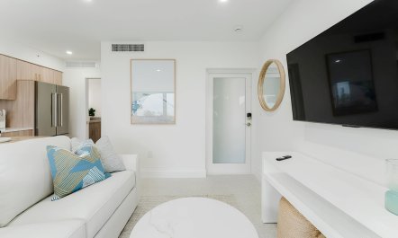 Intracoastal Palms 3