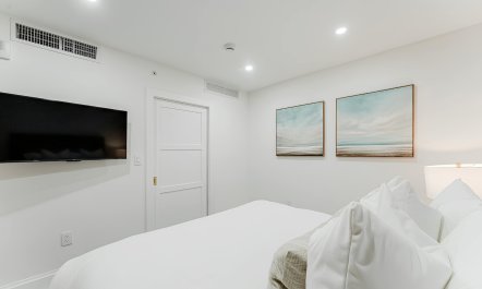 Intracoastal Palms 8