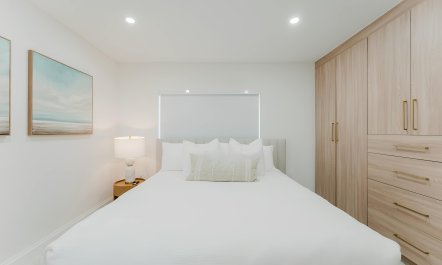 Intracoastal Palms 6