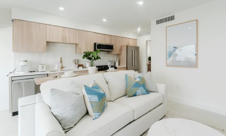 Intracoastal Palms 2