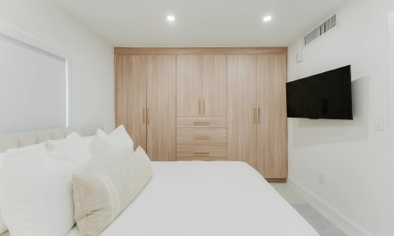 Intracoastal Palms 7