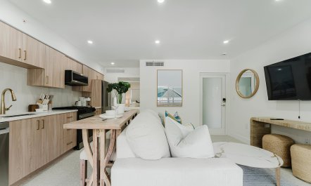 Palms & Inlet 3