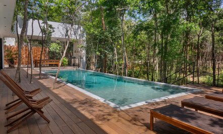 Canopy & Cenote 2