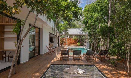 Canopy & Cenote 3