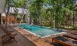 Canopy & Cenote 2