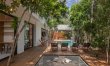 Canopy & Cenote 3
