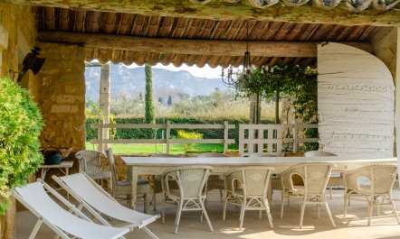 Olive Oil & Luberon Light 1