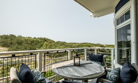 Dunes Above the Gulf 1