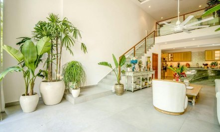 Samana & Saltwater 8