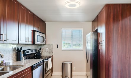 Reef & Palms 8