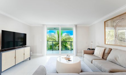 Reef & Palms