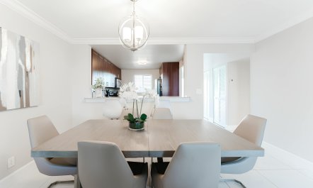 Reef & Palms 7