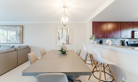 Reef & Palms 6