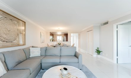 Reef & Palms 2