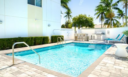 Reef & Palms 1