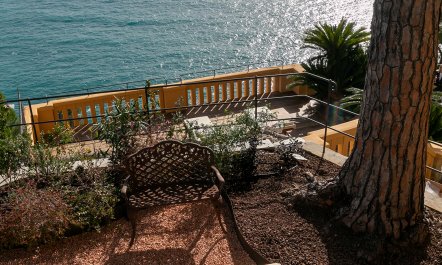 Ligurian Love 1