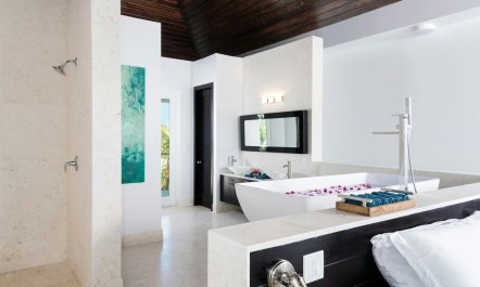 Romance Reef 8