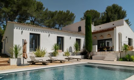 Provence Pine