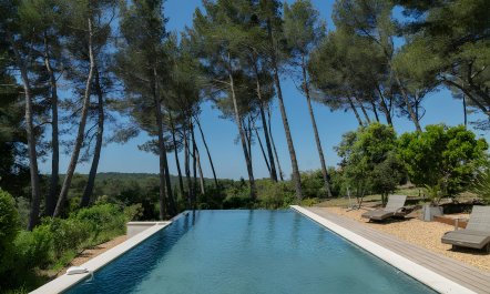 Provence Pine 3
