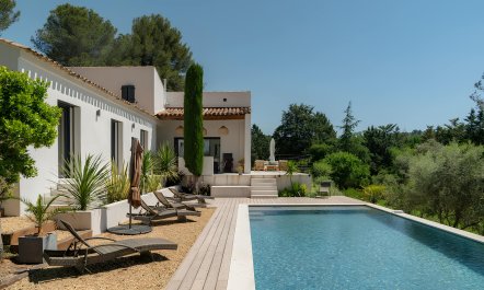 Provence Pine 4