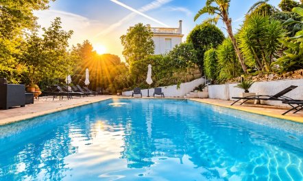 Cannes in Full Bloom