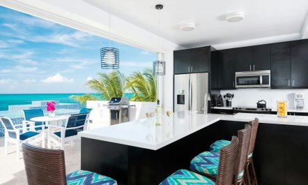Turtles & Trade Winds 5