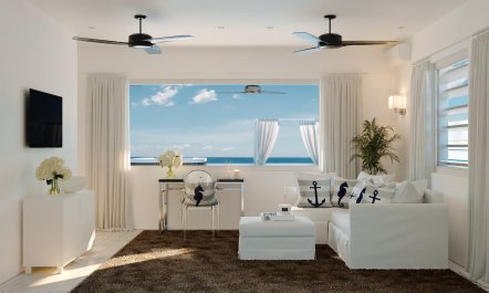 Sea Island Cotton 3