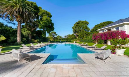 Constantia in Full Bloom 2