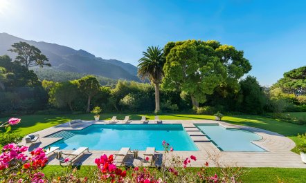 Constantia in Full Bloom 1