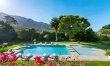 Constantia in Full Bloom 1