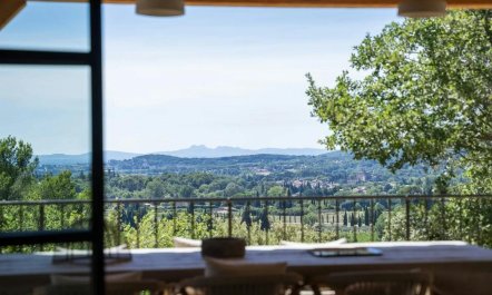 Lourmarin Lavender 4
