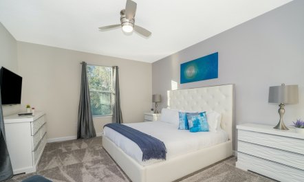 Cottonwood & Palm 9