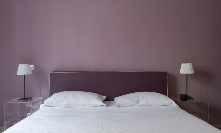 Centurion Violet 6
