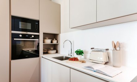 Olmo Oasis 6