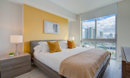 Miami Elevated 7
