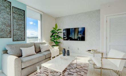 Miami Elevated 2