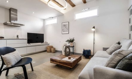 Malasa&ntilde;a Muse 3
