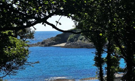 4 Bed in Talland 7