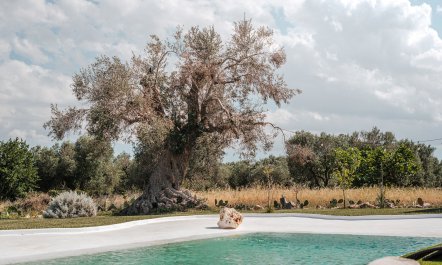 White Stone Serenade 4