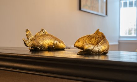 The Golden Carps 2