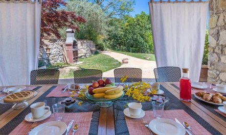 Olive Branch Offering 6