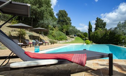 Olive Branch Offering 2