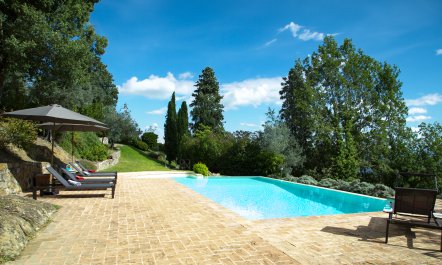 Olive Branch Offering 5