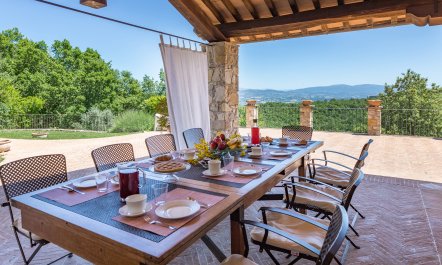 Olive Branch Offering 3